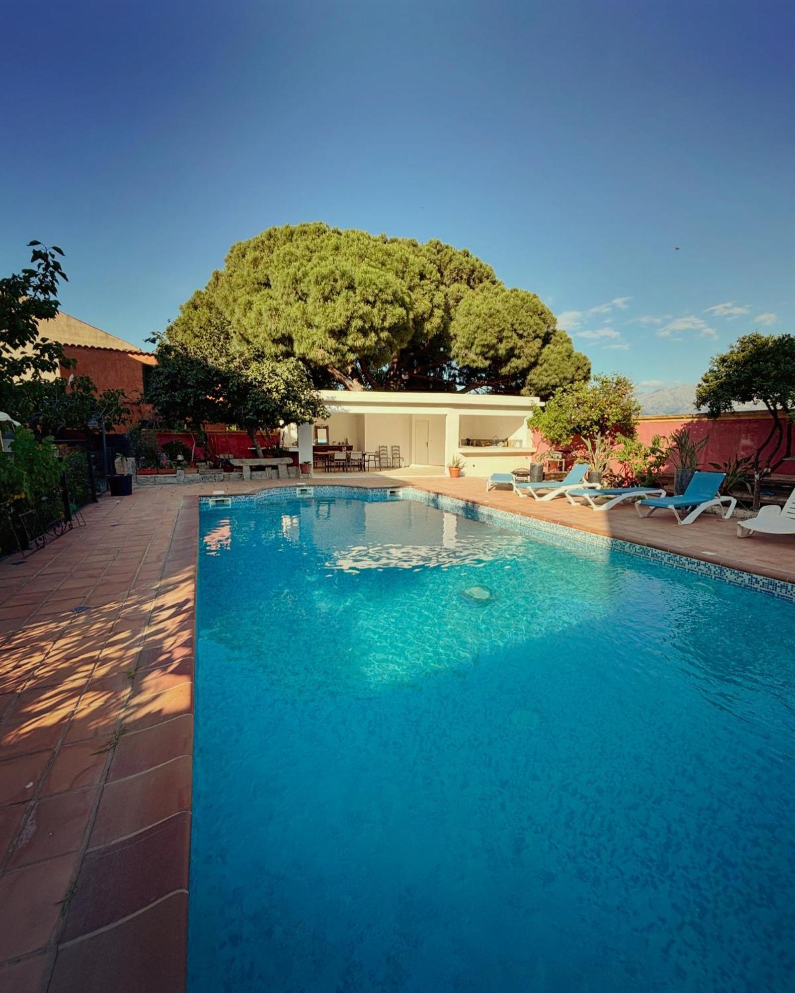 Residence Antonia Appartements Avec Piscine Commune - Centre Ville Calvi Calvi  Exterior foto